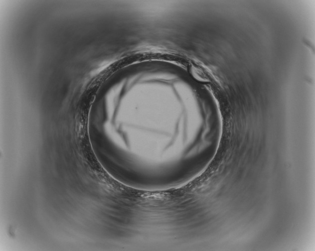 X0000096211303200802011313