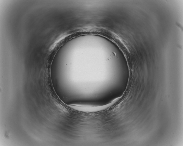 X0000096211304200802011313