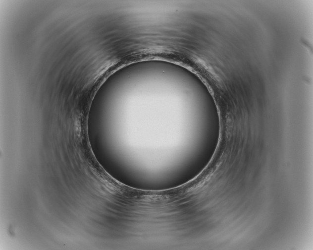 X0000096211305200802011313