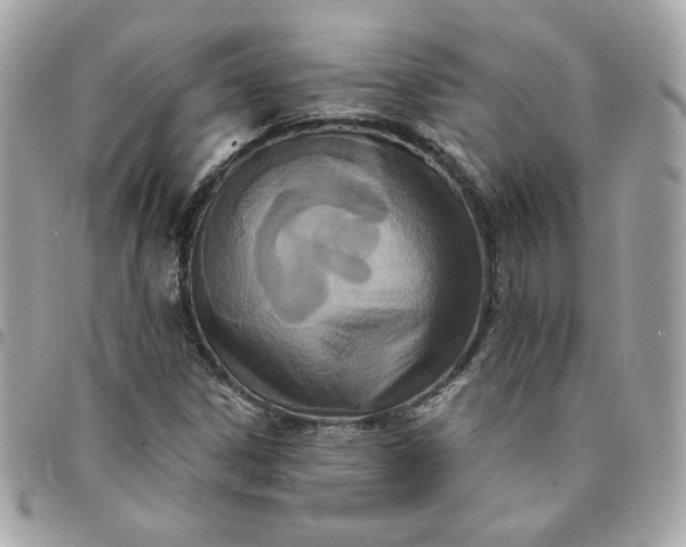 X0000096211306200802011313