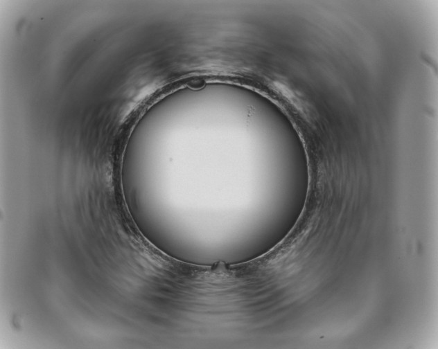 X0000096211307200802011313