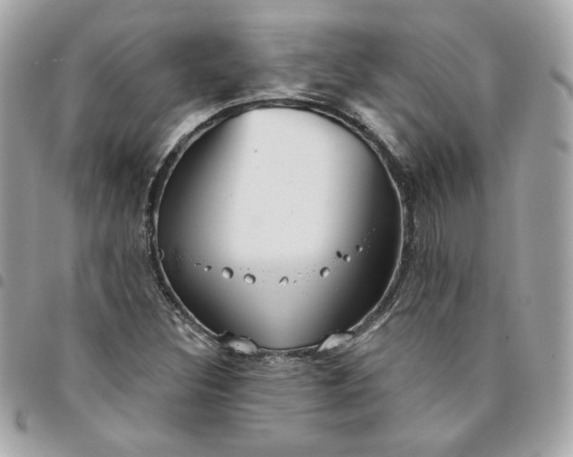 X0000096211308200802011313