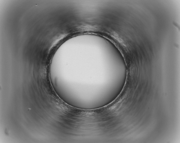 X0000096211309200802011313