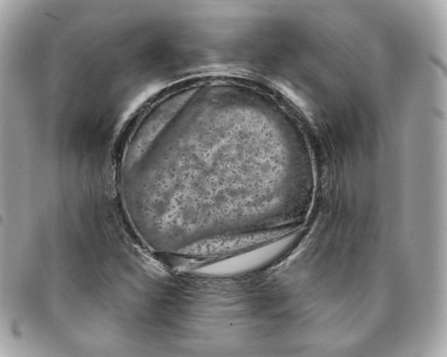 X0000096211310200802011313