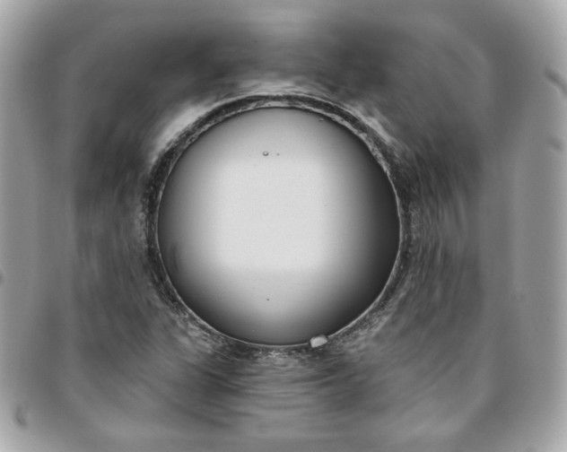 X0000096211311200802011313