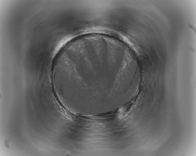 X0000096211312200802011313