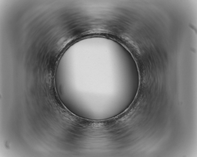 X0000096211313200802011313