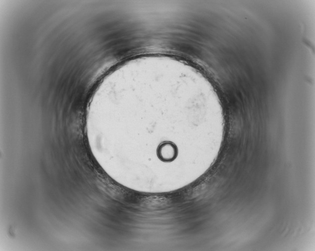 X0000096211314200802011313