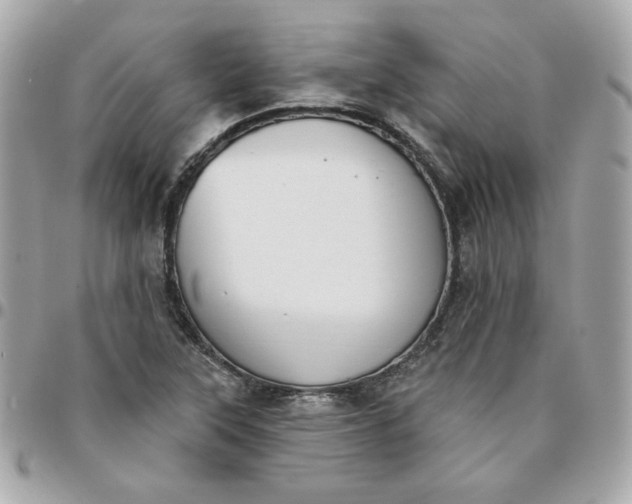 X0000096211315200802011313