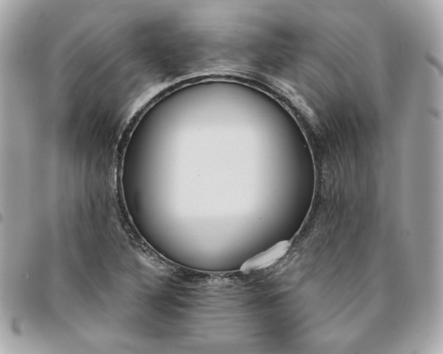 X0000096211316200802011313