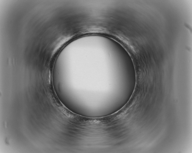 X0000096211317200802011313