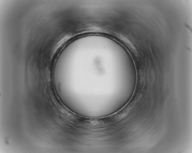 X0000096211318200802011313