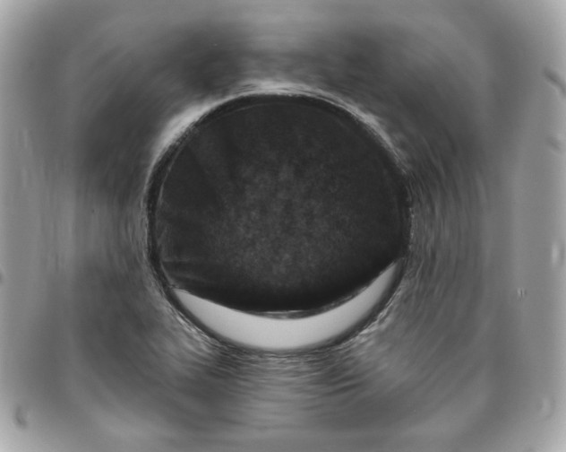 X0000096211319200802011313