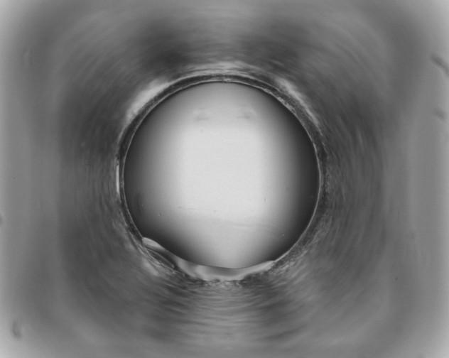 X0000096211320200802011313