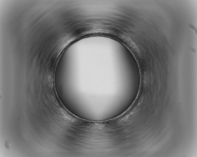 X0000096211321200802011313