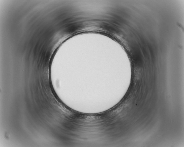 X0000096211322200802011313