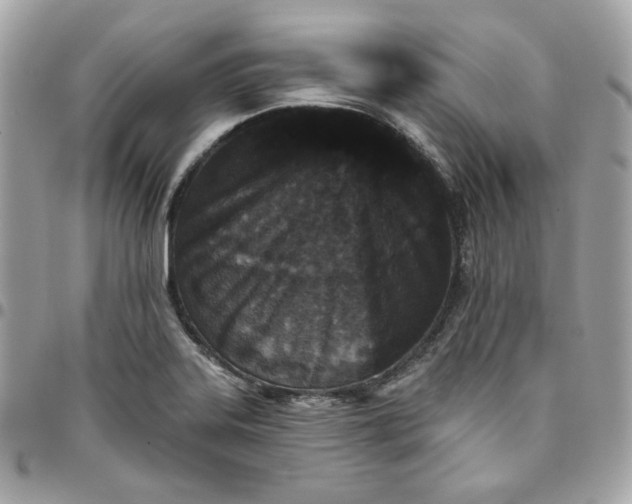 X0000096211323200802011313