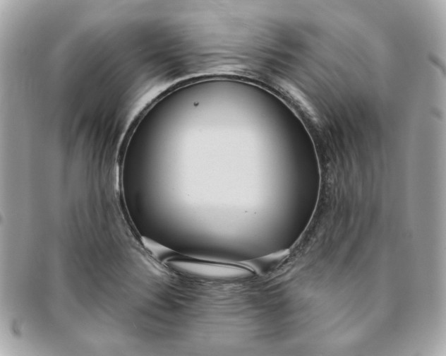 X0000096211324200802011313