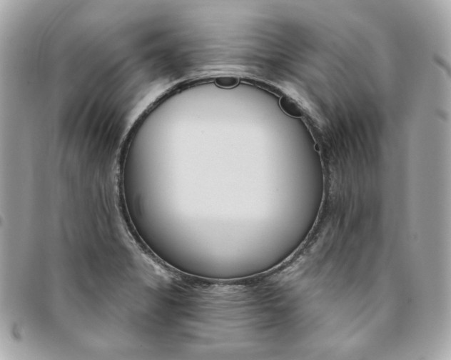 X0000096211325200802011313