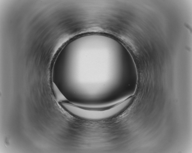 X0000096211326200802011313