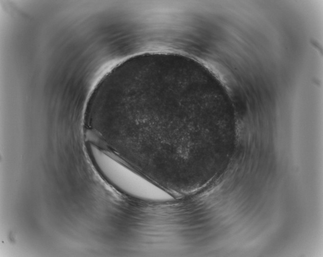 X0000096211327200802011313