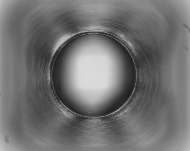 X0000096211328200802011313