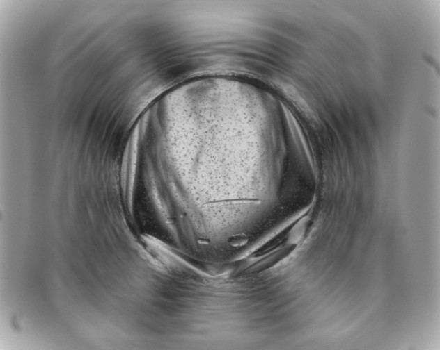 X0000096211329200802011313