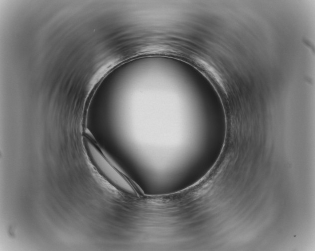 X0000096211330200802011313