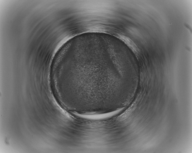 X0000096211331200802011313