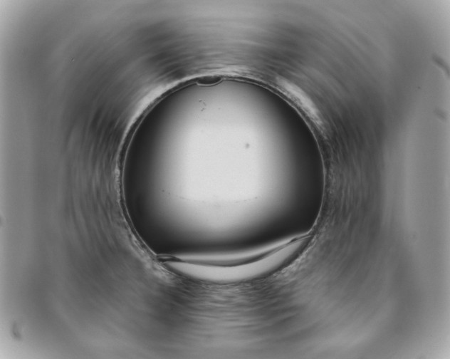 X0000096211332200802011313