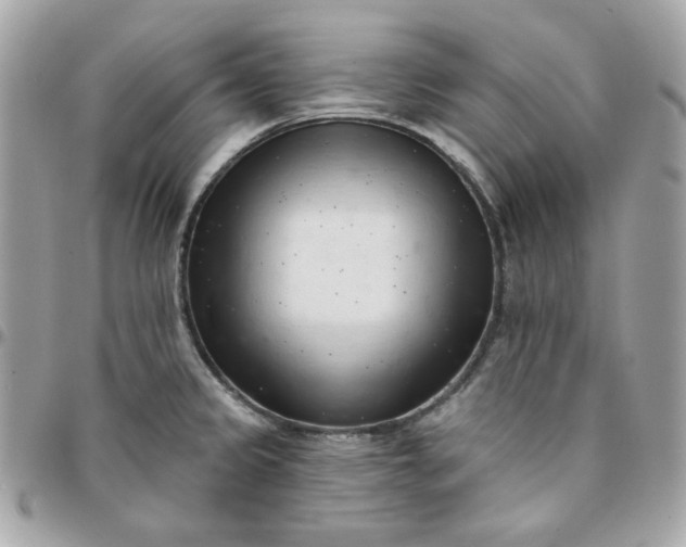 X0000096211333200802011313