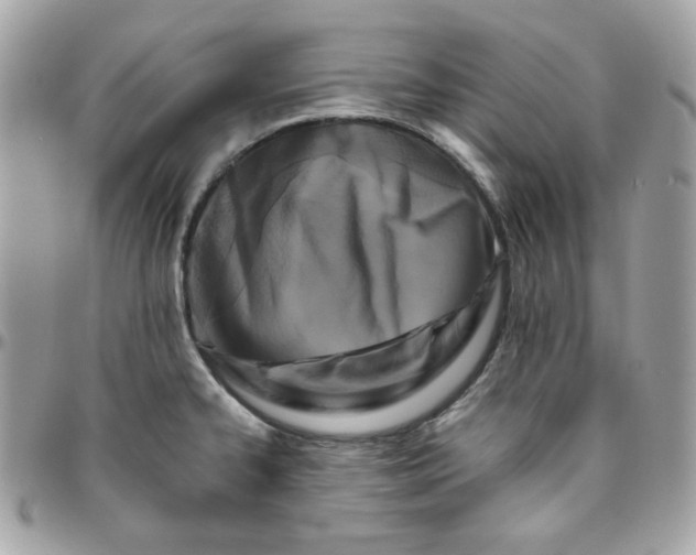 X0000096211334200802011313