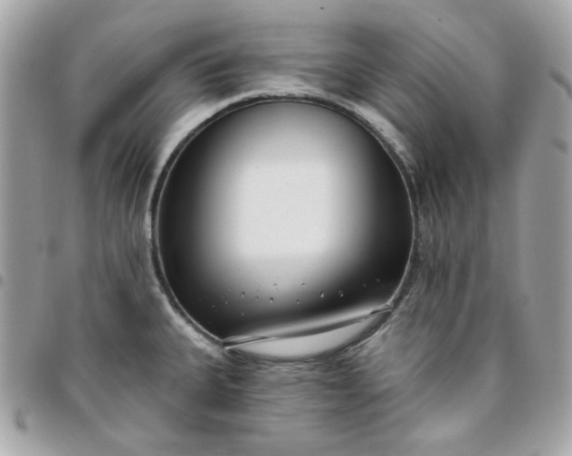 X0000096211335200802011313