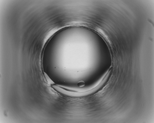 X0000096211336200802011313