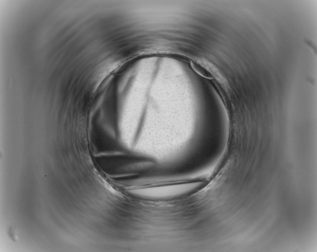 X0000096211337200802011313