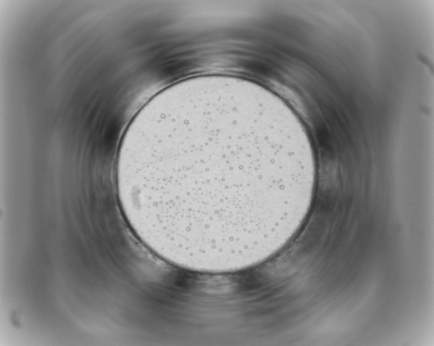 X0000096211338200802011313