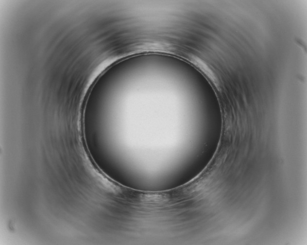 X0000096211339200802011313