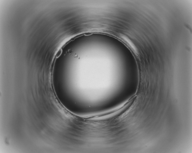 X0000096211340200802011313