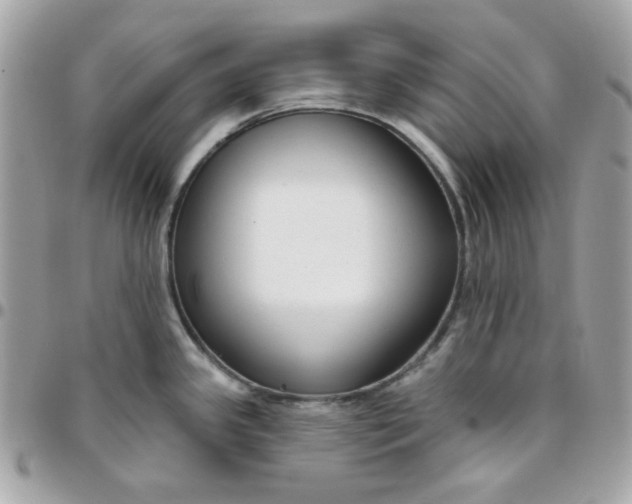 X0000096211341200802011313