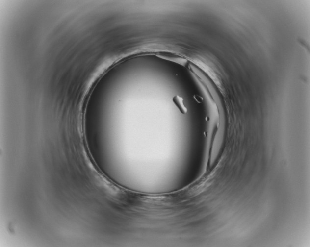 X0000096211342200802011313