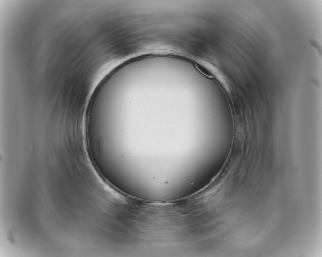 X0000096211343200802011313