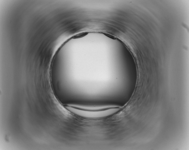 X0000096211344200802011313