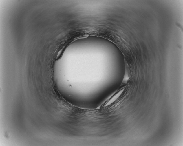 X0000096211345200802011312