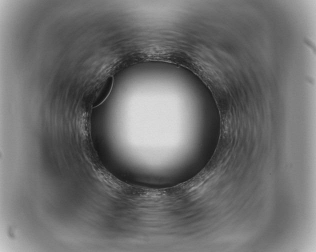 X0000096211346200802011312