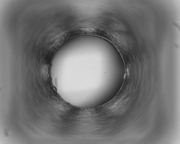 X0000096211347200802011312