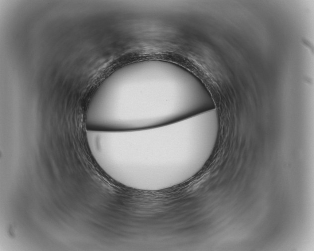 X0000096211348200802011312