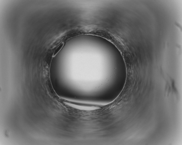 X0000096211349200802011312