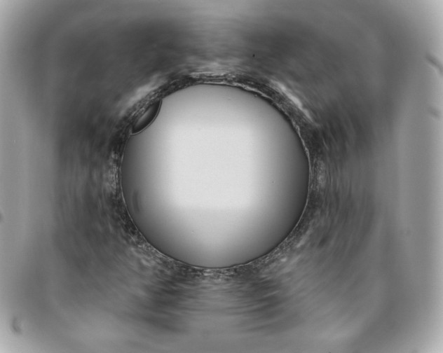 X0000096211350200802011312