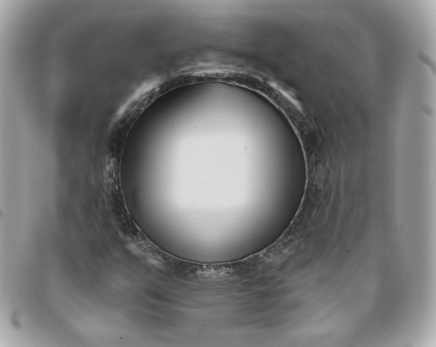 X0000096211351200802011312