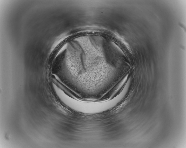 X0000096211352200802011312